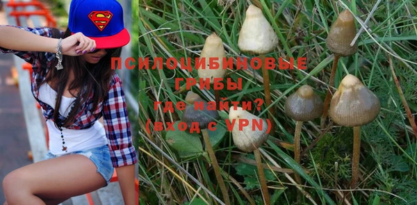 PSILOCYBIN Елабуга