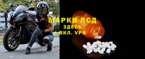 ALPHA PVP Елизово