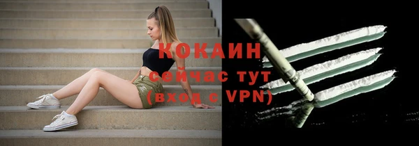 ALPHA PVP Елизово