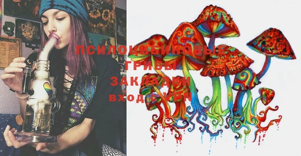 PSILOCYBIN Елабуга