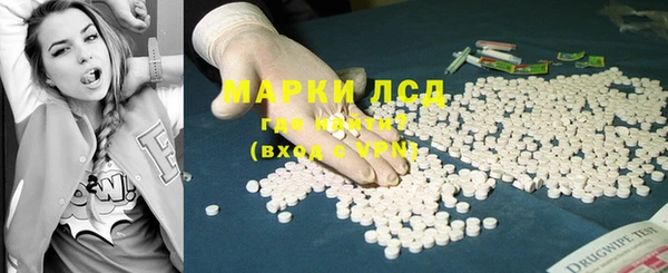 PSILOCYBIN Елабуга